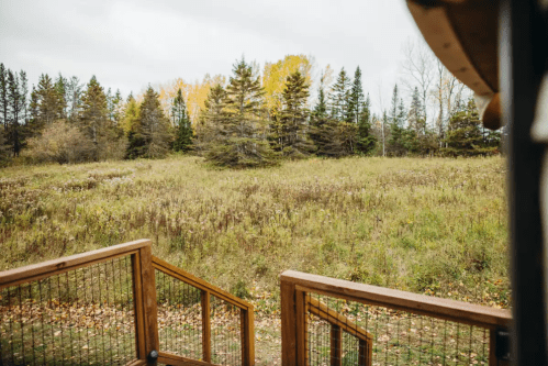 View from a wooden deck overlooking a grassy field and trees with autumn foliage in the background.