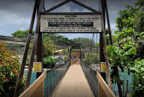 A suspension bridge with a caution sign, surrounded by greenery and leading to a scenic area.