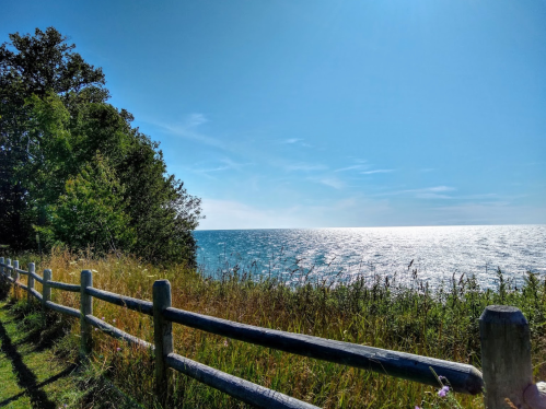 A serene lakeside view with a wooden fence, lush greenery, and a bright blue sky reflecting on the water.