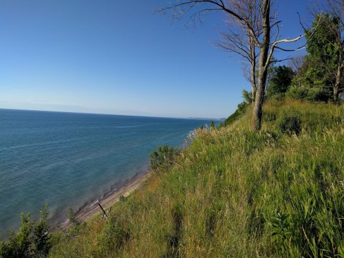 A serene coastal view with lush green grass and trees overlooking a calm blue lake under a clear sky.