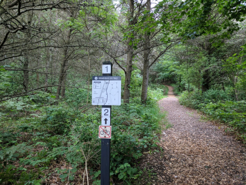 Trail sign in a wooded area, indicating a path with a map and directions, surrounded by lush greenery.