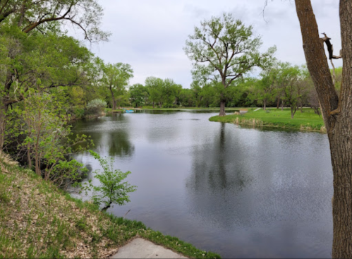 A serene river scene surrounded by lush green trees and grass, reflecting the cloudy sky above.