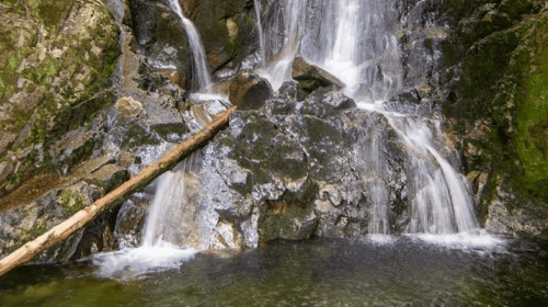 A serene waterfall cascading over rocks into a calm pool, surrounded by lush greenery.