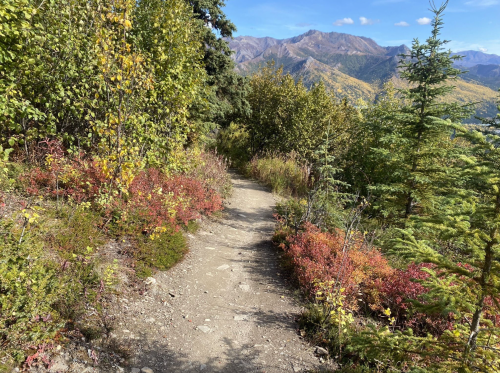 A winding dirt path through colorful autumn foliage, with mountains in the background under a clear blue sky.