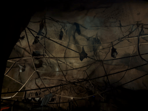 A dimly lit cave interior with hanging ropes and dark shapes, possibly bats, against a rocky wall.