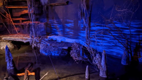 A white alligator rests on a rocky surface near water, surrounded by dark blue lighting and natural elements.