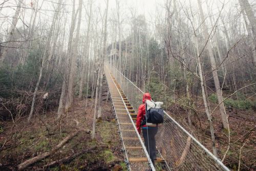 A hiker in a red jacket ascends a steep metal staircase through a foggy, wooded area.