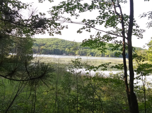 A serene view of a lake surrounded by lush greenery and distant hills under a clear sky.