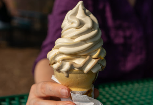 A person holding a soft-serve ice cream cone with a swirl of creamy vanilla on top.