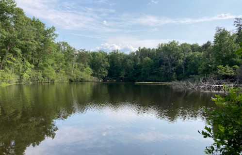 A serene lake surrounded by lush green trees, reflecting the sky and clouds above.