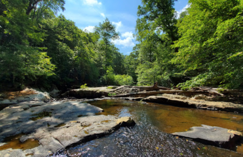 A serene river scene surrounded by lush green trees and rocky banks under a bright blue sky.
