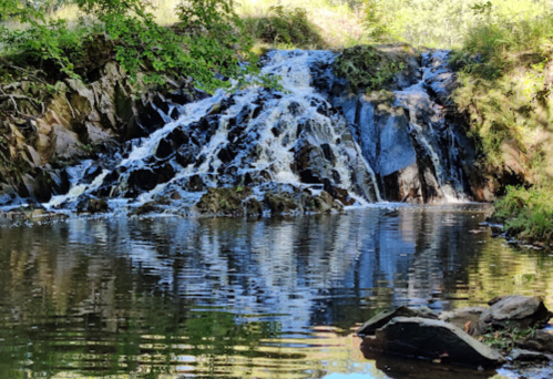 A serene waterfall cascading over rocks into a calm pool, surrounded by lush greenery and sunlight.