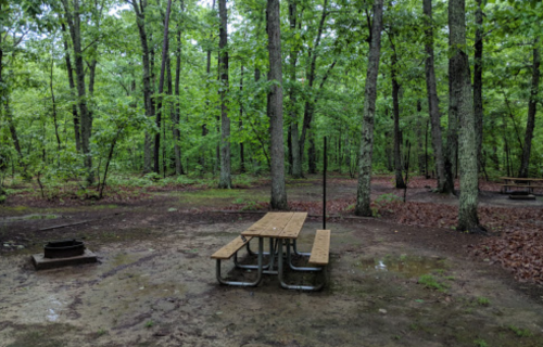 A picnic table in a wooded area, surrounded by green trees and a dirt path, with a fire pit nearby.