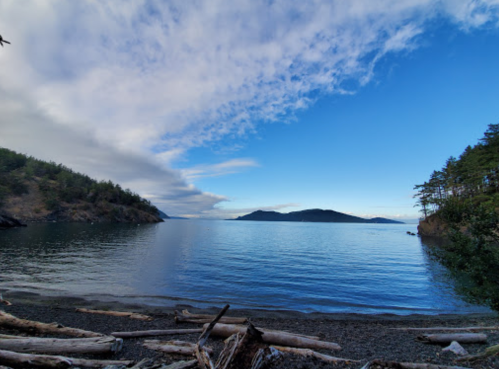 A serene coastal view with calm waters, distant islands, and a blue sky dotted with clouds. Driftwood lines the shore.