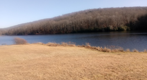A serene landscape featuring a calm lake bordered by a grassy shore and a wooded hillside in the background.