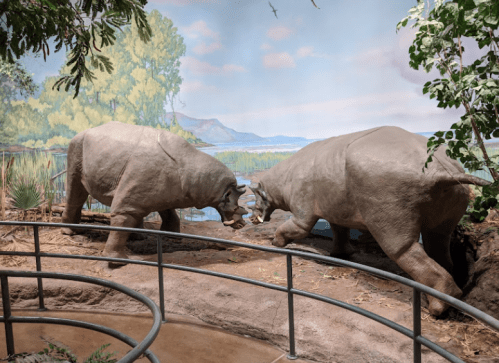 Two large, lifelike sculptures of prehistoric animals facing each other in a naturalistic setting with a painted backdrop.