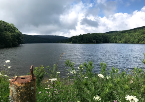 A serene lake surrounded by lush green hills and wildflowers under a partly cloudy sky.