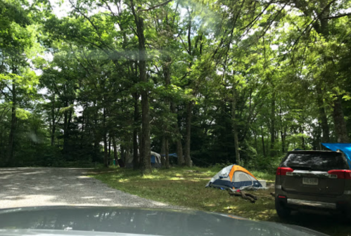 A gravel road leads to a campsite with tents nestled among trees, with a parked SUV nearby.