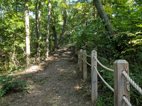A narrow, wooded path lined with wooden posts and rope, surrounded by lush green trees and foliage.