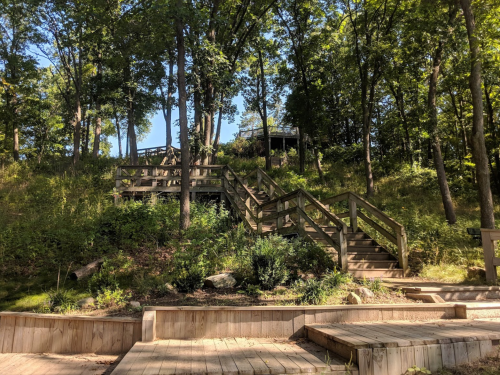 A wooden staircase leads up a grassy hill surrounded by trees in a serene forest setting.