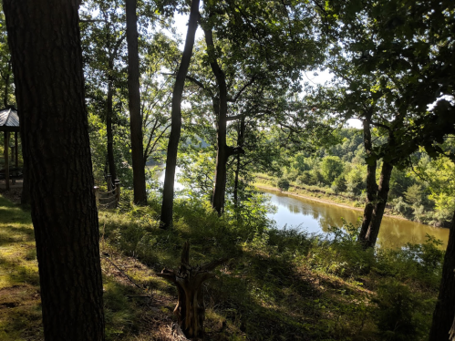 A serene view of a river surrounded by lush trees and greenery, with sunlight filtering through the leaves.
