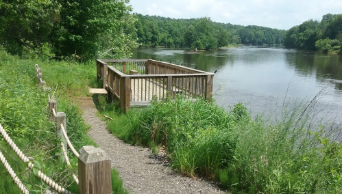 A wooden viewing platform by a river, surrounded by lush greenery and trees under a clear blue sky.