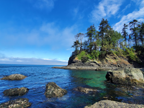 A rocky coastline with clear blue water, surrounded by trees under a bright blue sky with scattered clouds.