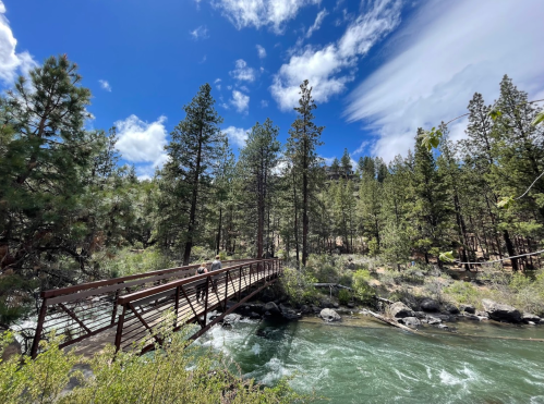 A wooden bridge crosses a rushing river, surrounded by tall pine trees and a bright blue sky with scattered clouds.