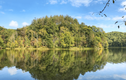A serene lake surrounded by lush green trees, reflecting the vibrant foliage and blue sky above.