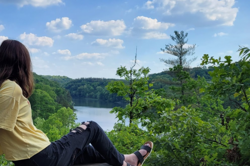 A person sits on a ledge, gazing at a serene lake surrounded by lush green trees and a blue sky with fluffy clouds.