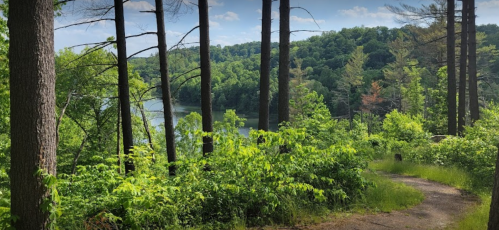 A serene forest path leads to a calm lake, surrounded by lush green trees and vibrant foliage under a clear sky.
