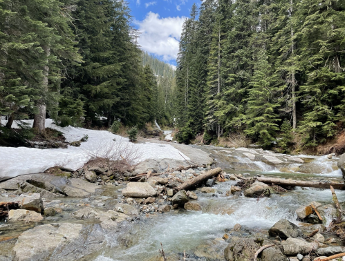 A serene river flows through a forested area, with patches of snow and rocky terrain under a blue sky.