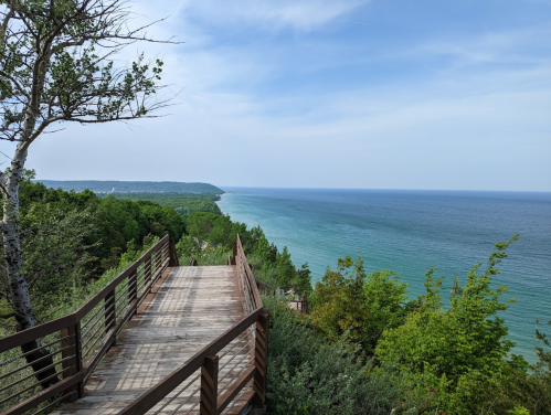 A wooden walkway overlooks a serene coastline with lush greenery and calm blue waters under a clear sky.