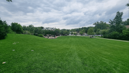 A wide green lawn with trees and a playground in the background under a cloudy sky.