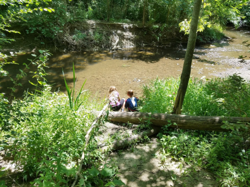 Two children sit by a creek, surrounded by lush greenery and trees, enjoying a peaceful moment in nature.