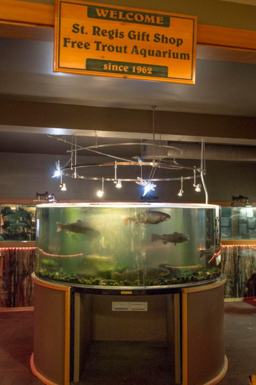 A large aquarium with trout, located in the St. Regis Gift Shop, featuring a welcoming sign above.