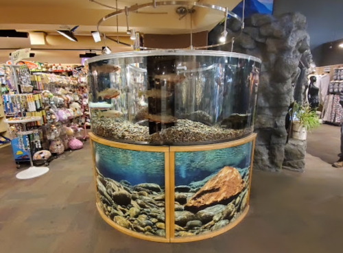 A large circular aquarium filled with rocks and fish, surrounded by a retail store displaying various merchandise.