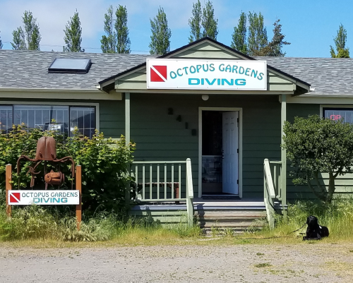 A green building with "Octopus Gardens Diving" signs, featuring a dog sitting on the porch and greenery around.