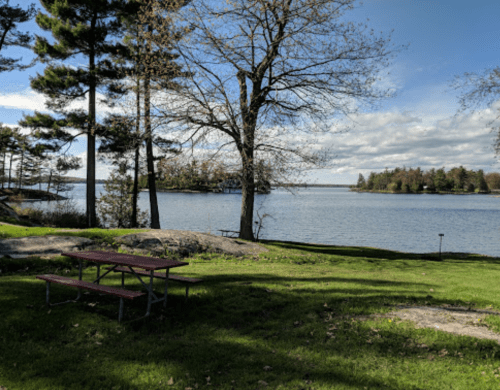 A serene lakeside view with a picnic table, trees, and a clear blue sky reflecting on the water.