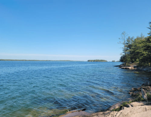 A serene lakeside view with clear blue water, rocky shore, and trees lining the bank under a clear sky.
