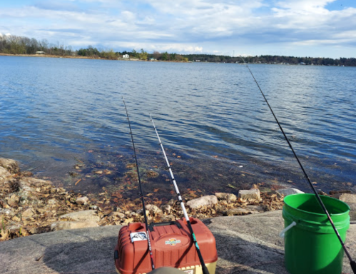 Two fishing rods rest on a rocky shore by a calm lake, with a green bucket nearby and a cloudy sky above.