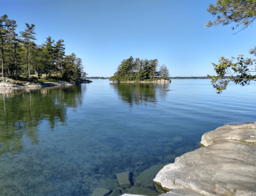A serene lake scene with clear water, rocky shore, and trees reflecting on the calm surface under a blue sky.