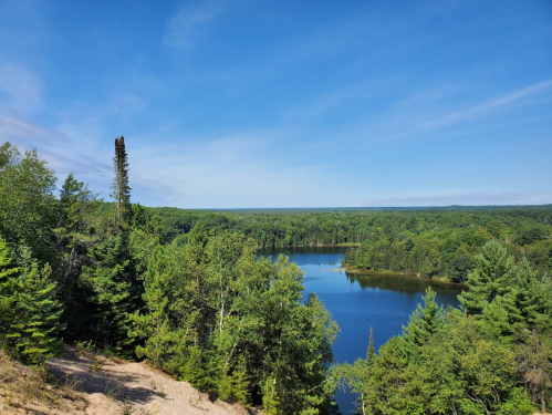 A serene landscape featuring a calm lake surrounded by lush green trees under a clear blue sky.