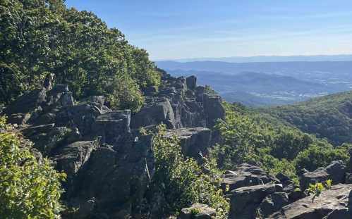 A scenic view of rocky cliffs and lush greenery overlooking a valley and distant mountains under a clear blue sky.