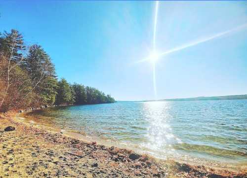 A sunny lakeside view with sparkling water, sandy shore, and trees lining the horizon under a clear blue sky.