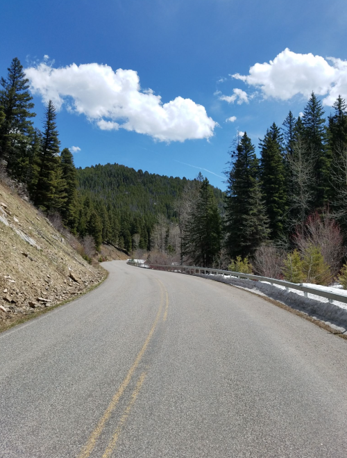 A winding road through a forested area, with mountains and blue skies in the background.
