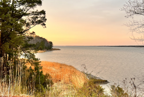 A serene lakeside view at sunset, with trees and golden grasses lining the shore under a pastel sky.