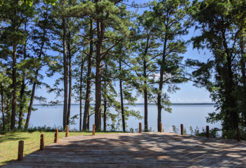 A wooden deck surrounded by tall trees, overlooking a calm lake under a clear blue sky.
