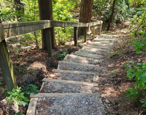 A wooden staircase descends through a lush, green forest, surrounded by trees and foliage.