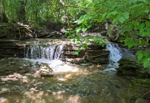 A serene stream flows over rocky ledges, surrounded by lush green foliage and dappled sunlight.